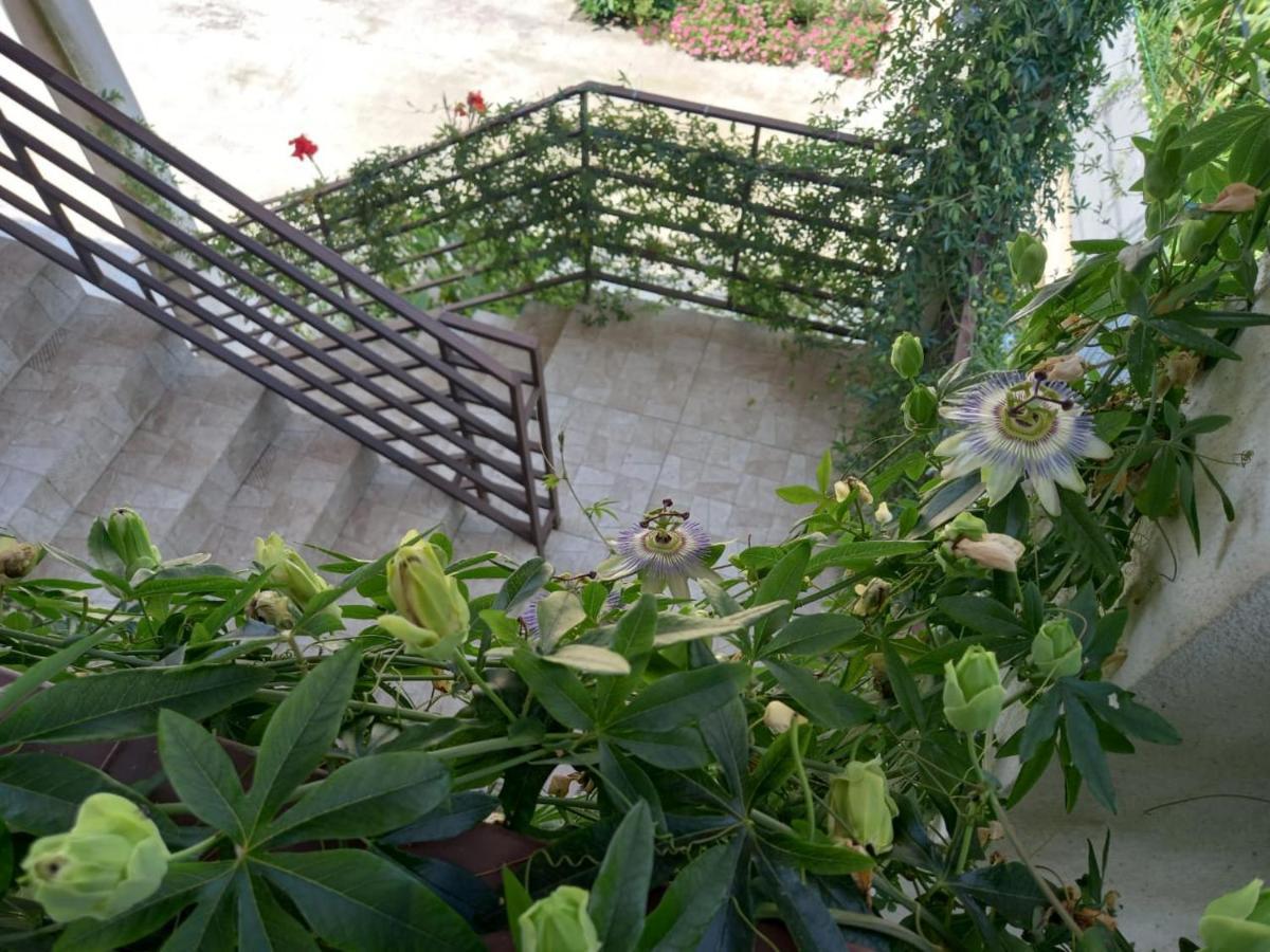 Flamingo Otel Anaklia Dış mekan fotoğraf